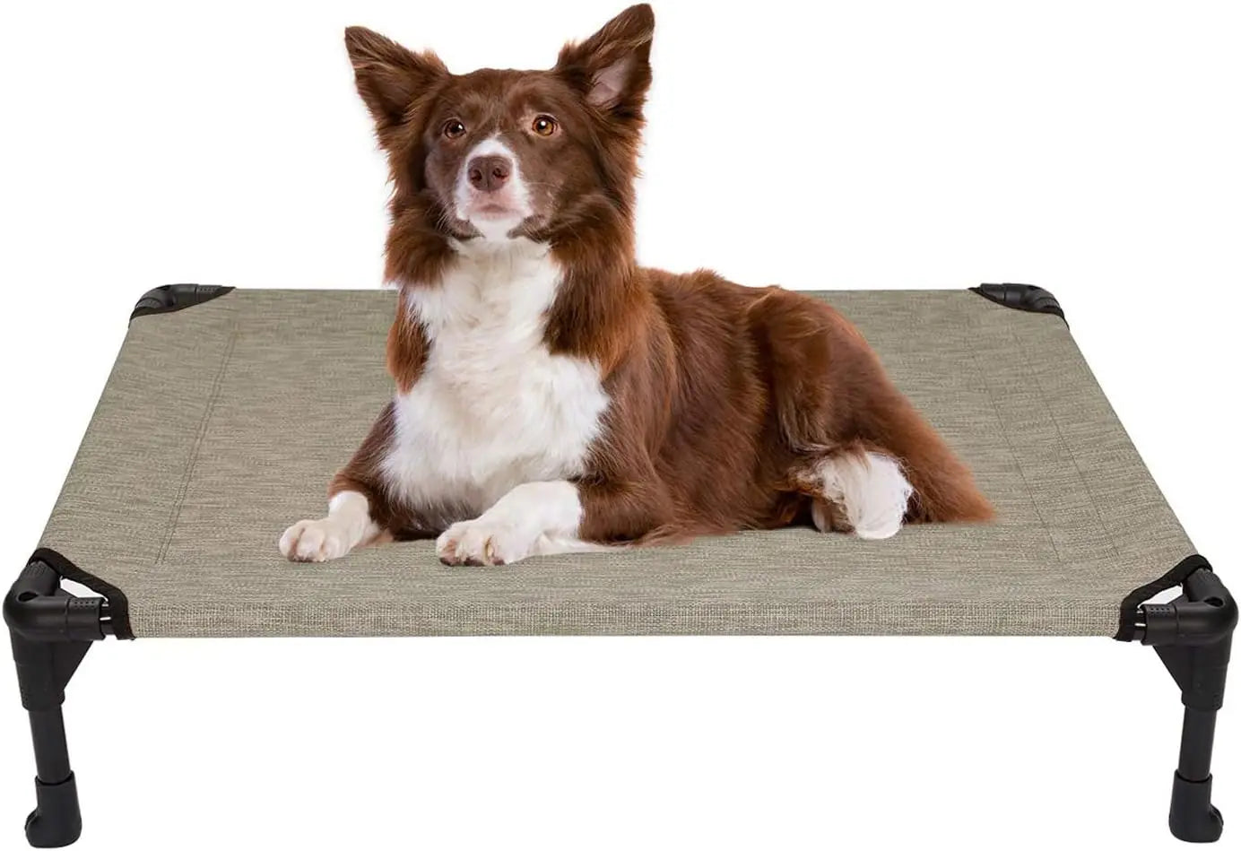 dog bed