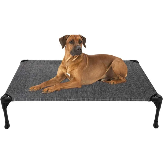 dog bed